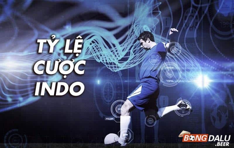 Bongdalu giới thiệu về tỷ lệ kèo indo